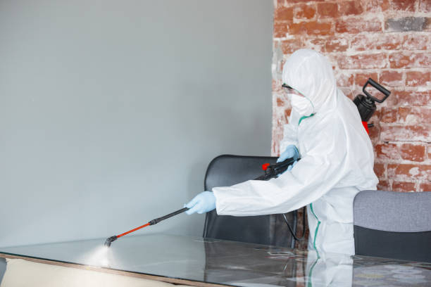 Best Mold Remediation for Rental Properties  in Silver Lakes, CA